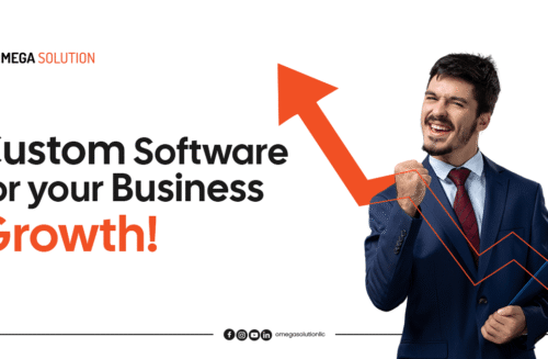 custom-software-for-your-business-growth