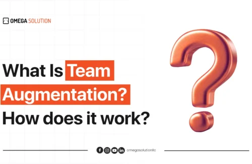 What Is Team Augmentation How does it work