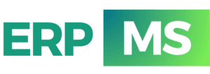 ERP-MS 1
